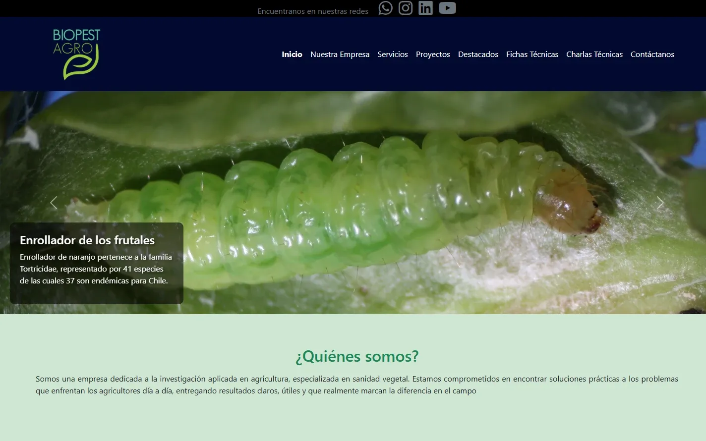 Página de inicio de Biopestagro: menú del sitio sobre fondo azul oscuro y una foto de un huerto de mandarinas.